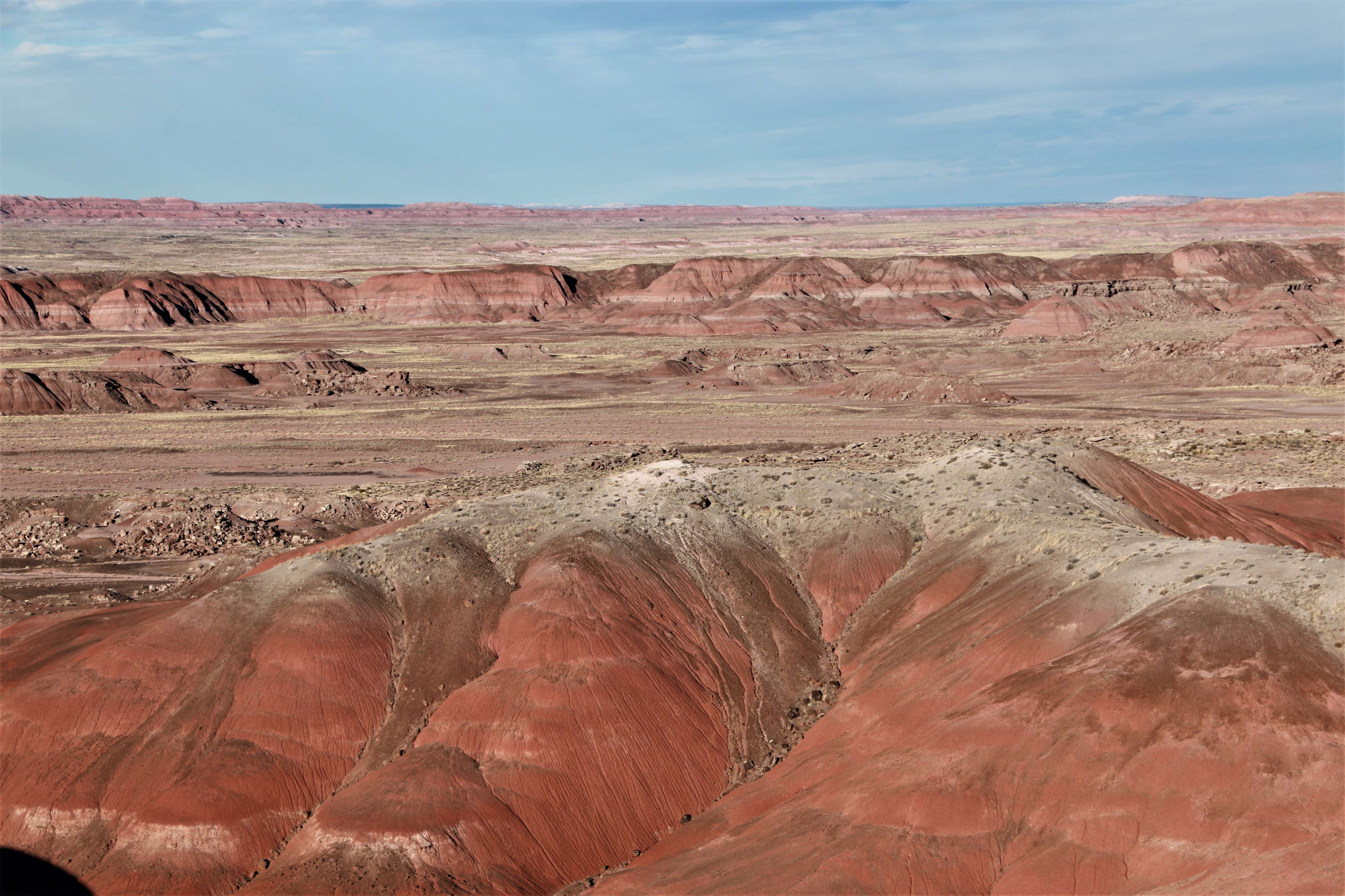 Petrified Forest NP